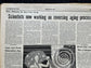 1970s CounterCulture LGBT Los Angeles Free Press, Black Panther Party, Underground Far-Left Newspaper, Vintage Newspaper, Original Newspaper