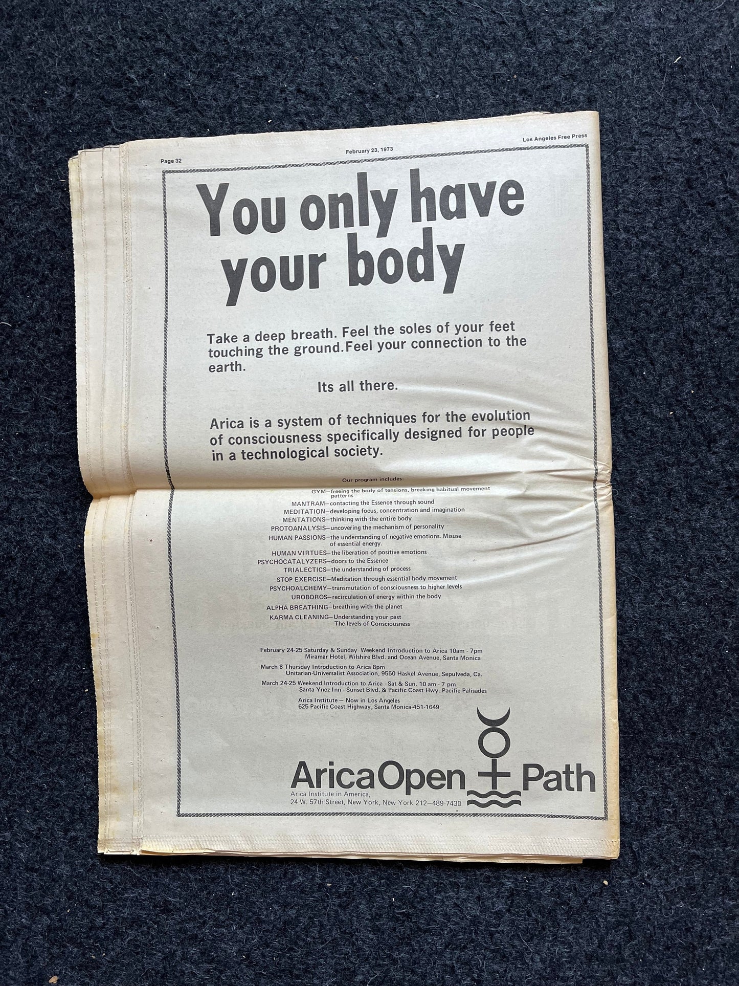 1970s CounterCulture LGBT Los Angeles Free Press, Black Panther Party, Underground Far-Left Newspaper, Vintage Newspaper, Original Newspaper