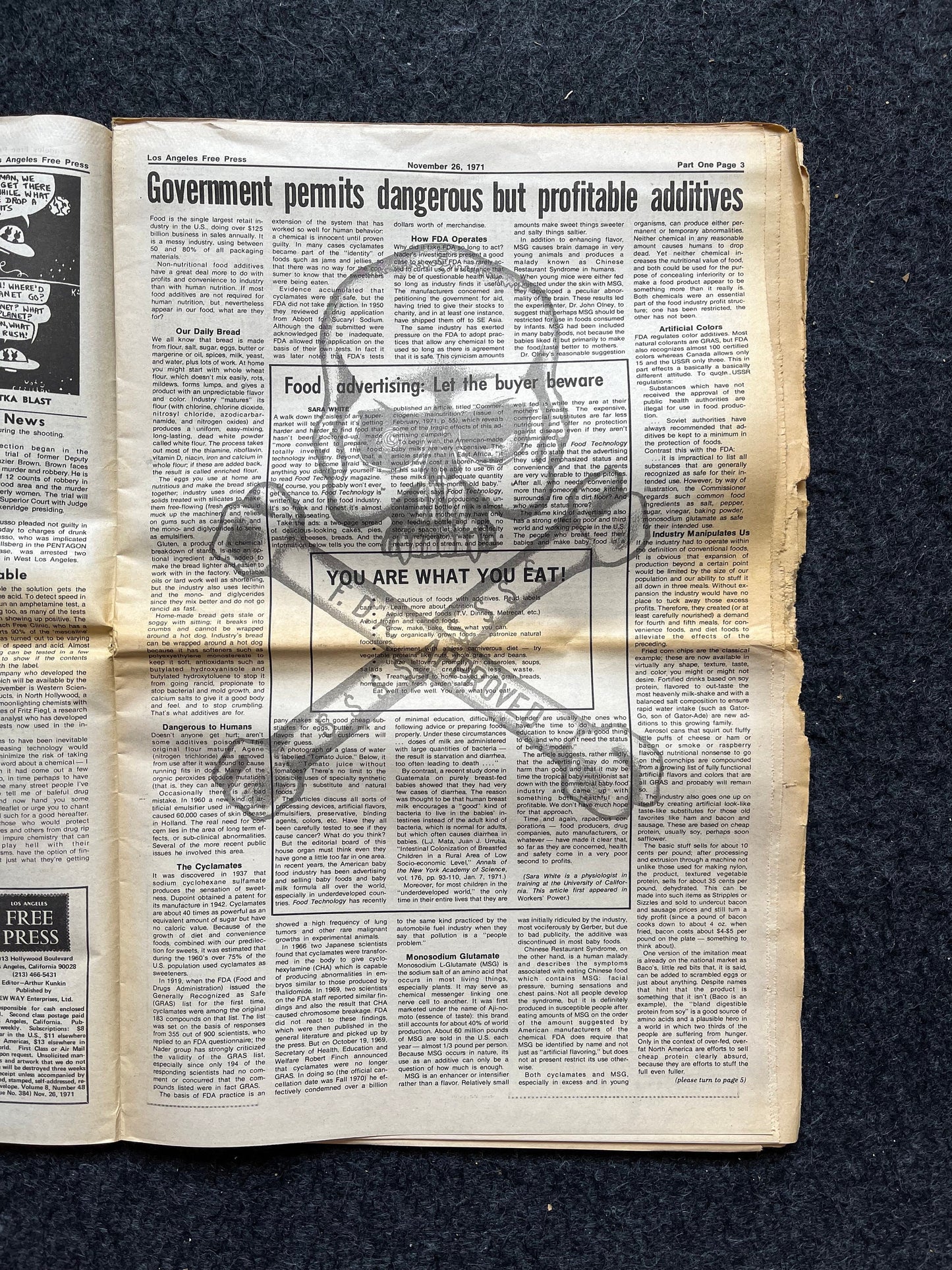 1970s CounterCulture LGBT Los Angeles Free Press, Black Panther Party, Underground Far-Left Newspaper, Vintage Newspaper, Original Newspaper