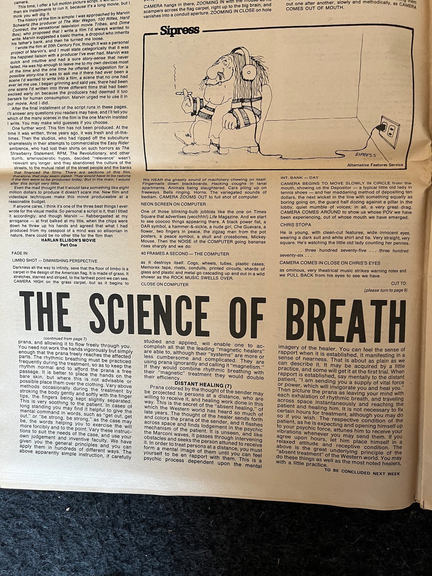 1970s CounterCulture LGBT Los Angeles Free Press, Black Panther Party, Underground Far-Left Newspaper, Vintage Newspaper, Original Newspaper