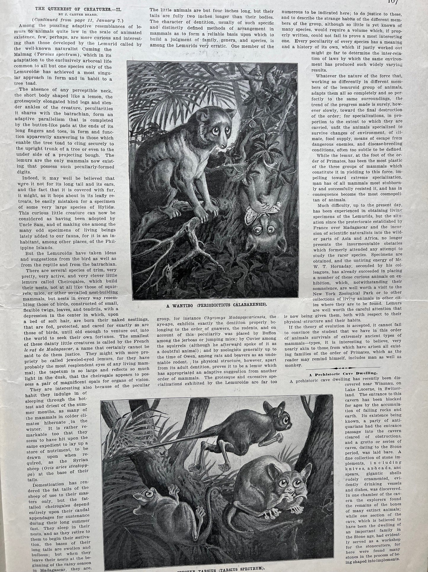 1905 William Thomas Kelvin Biography, Scientific America Newspaper, Science Education Wall Decor Gifts,
