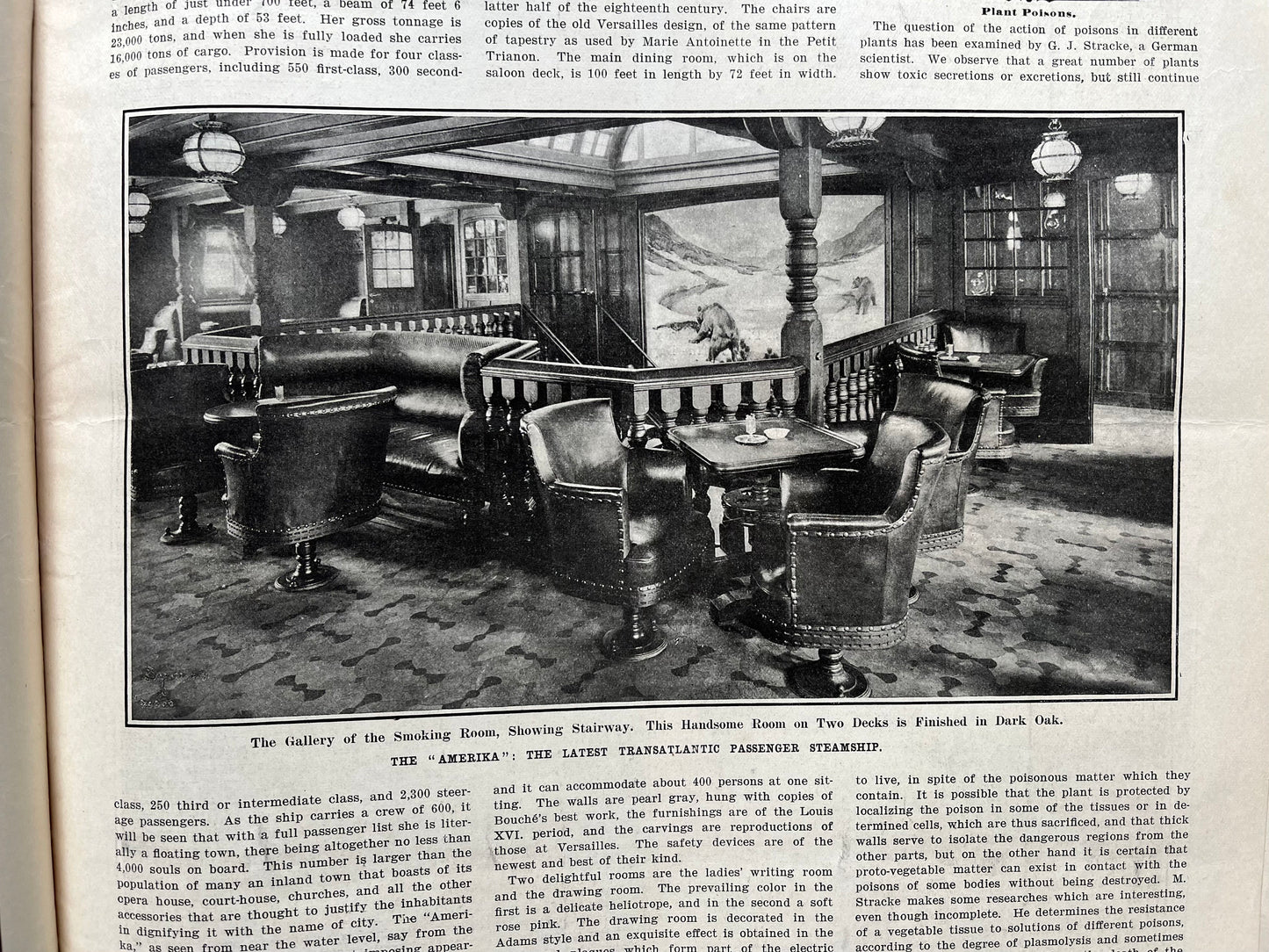 1905 Valley of the Kings Discovery, Egyptian History, Egyptian Wall Decor, Scientific America Newspaper, Science Education Wall Decor Gifts,