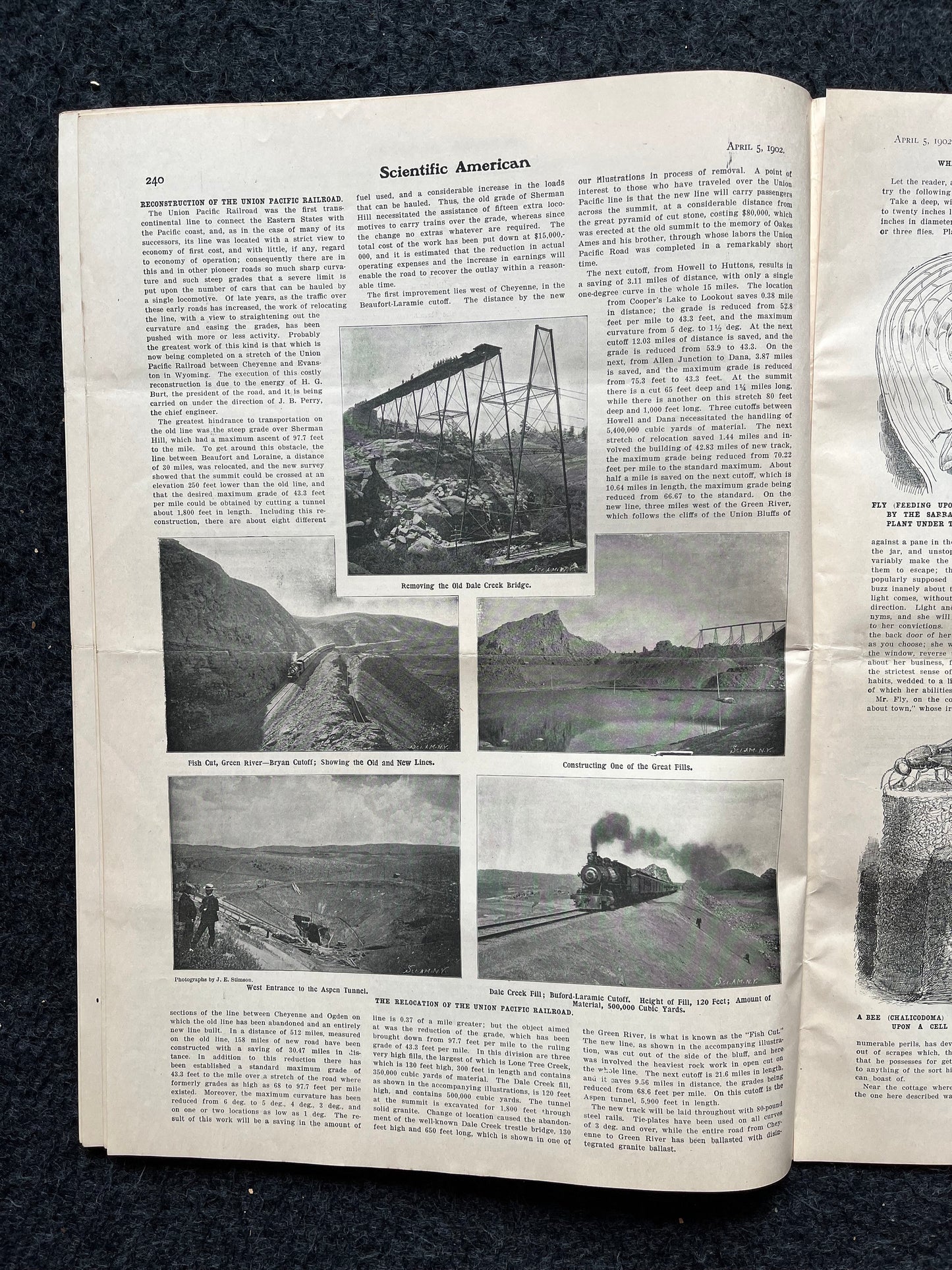 1905 Russian Crystal Palace, Amber Room Conspiracy Theory, Scientific America Newspaper, Science Education Wall Decor Gifts,