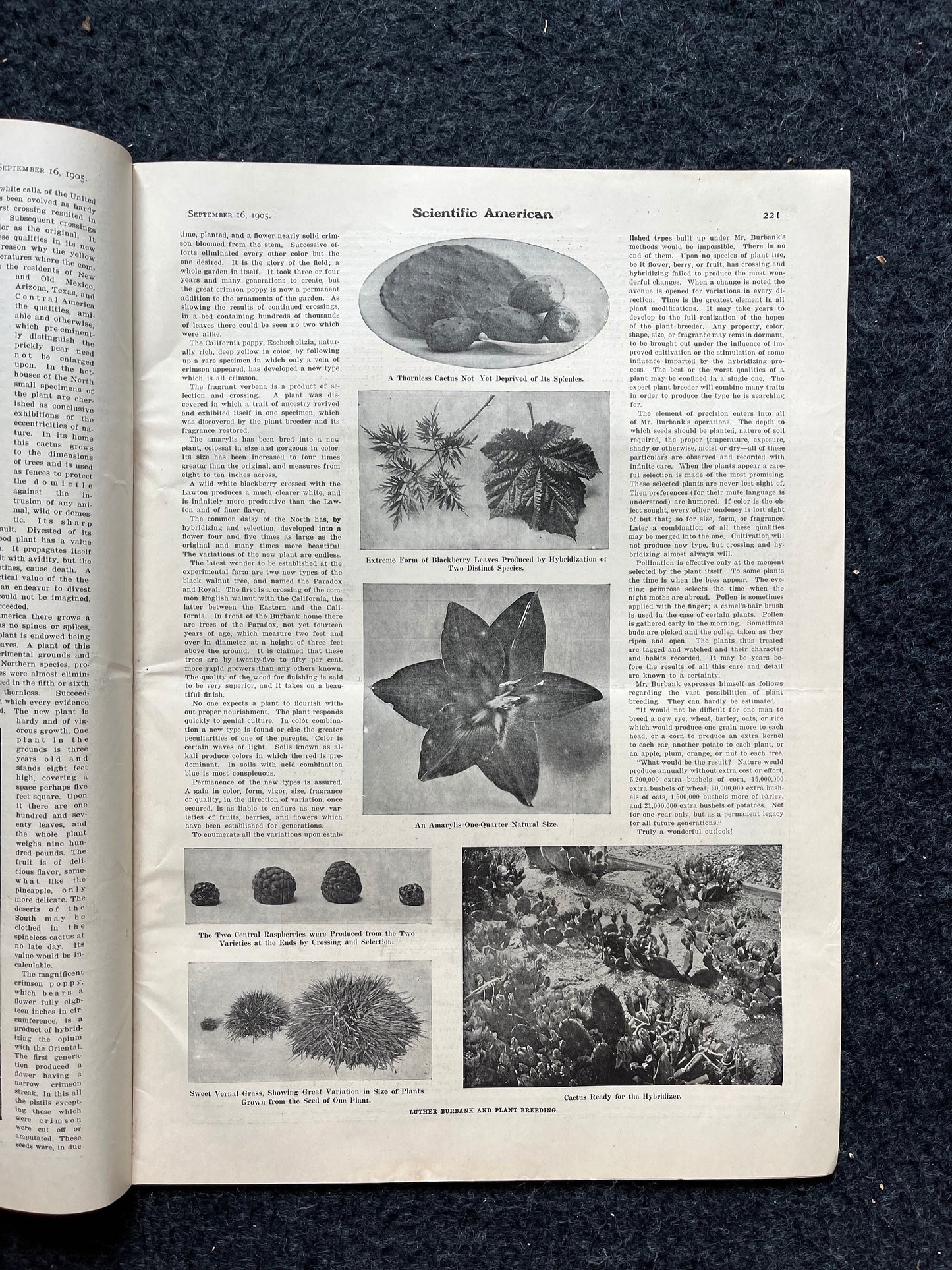 1905 Grand Central Station Remodeling, NYC Memorabilia, NYC Central Station, Scientific America Newspaper, Science Education Wall Decor Gift