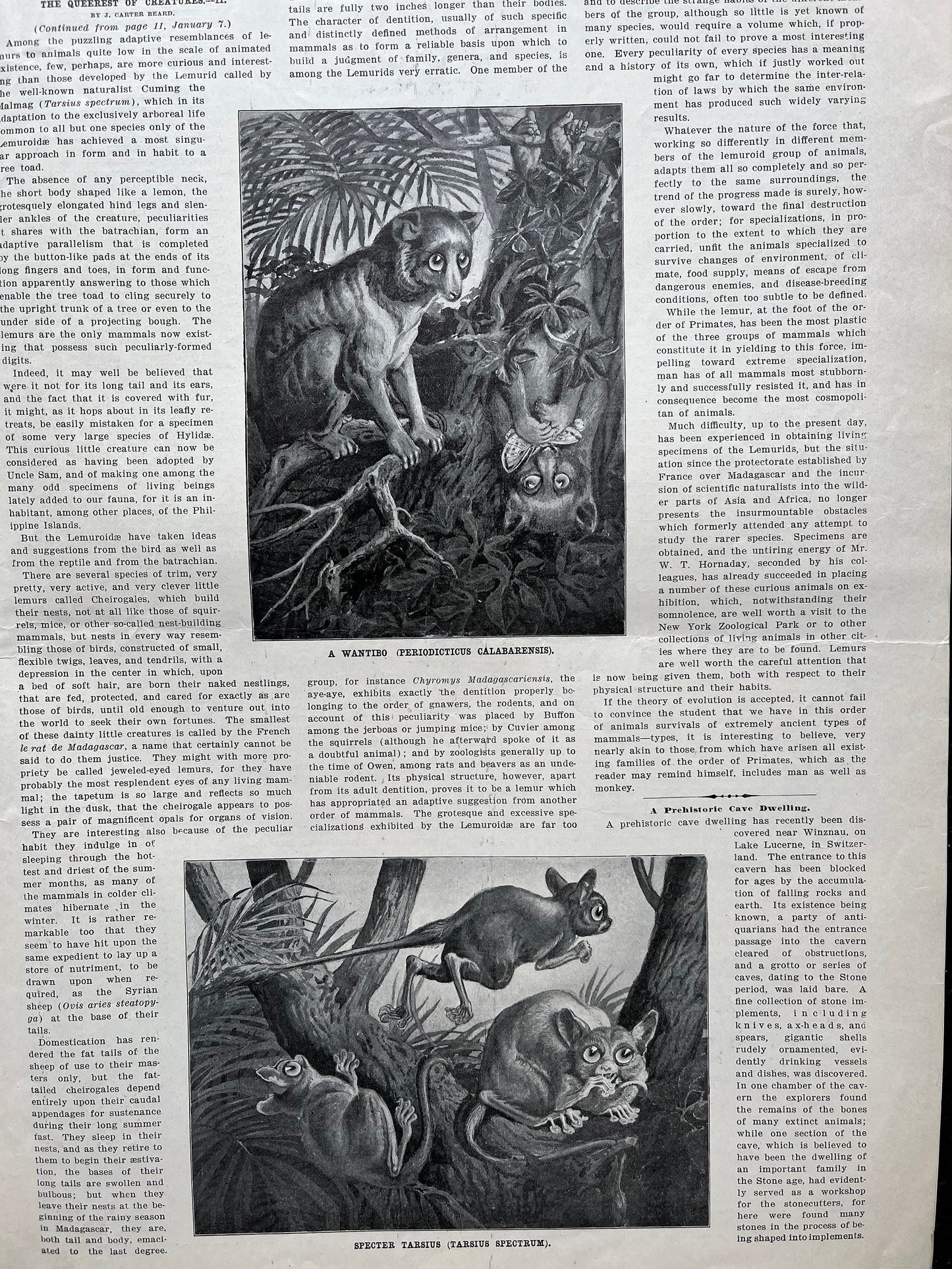 1905 William Thomas Kelvin Biography, Scientific America Newspaper, Science Education Wall Decor Gifts,