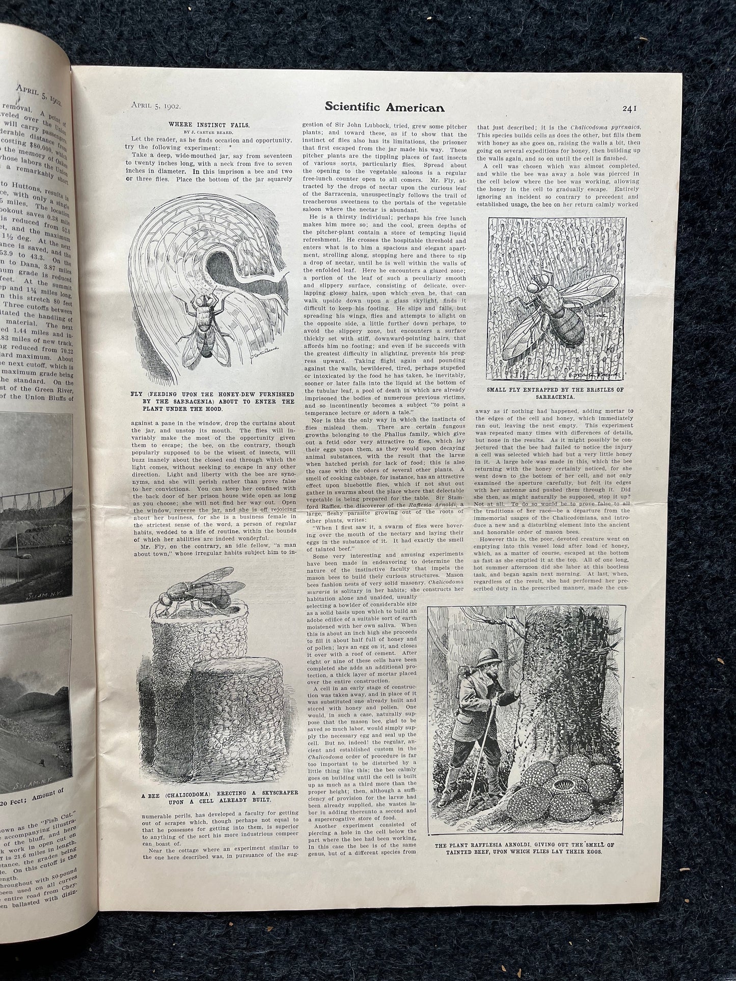 1905 Russian Crystal Palace, Amber Room Conspiracy Theory, Scientific America Newspaper, Science Education Wall Decor Gifts,