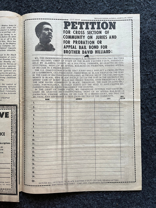 1971 Black Panther Political Party, Restorative Justice Black Excellence, Civil Rights Memorabilia, African Wall Decor, Antifa Liberal Gifts