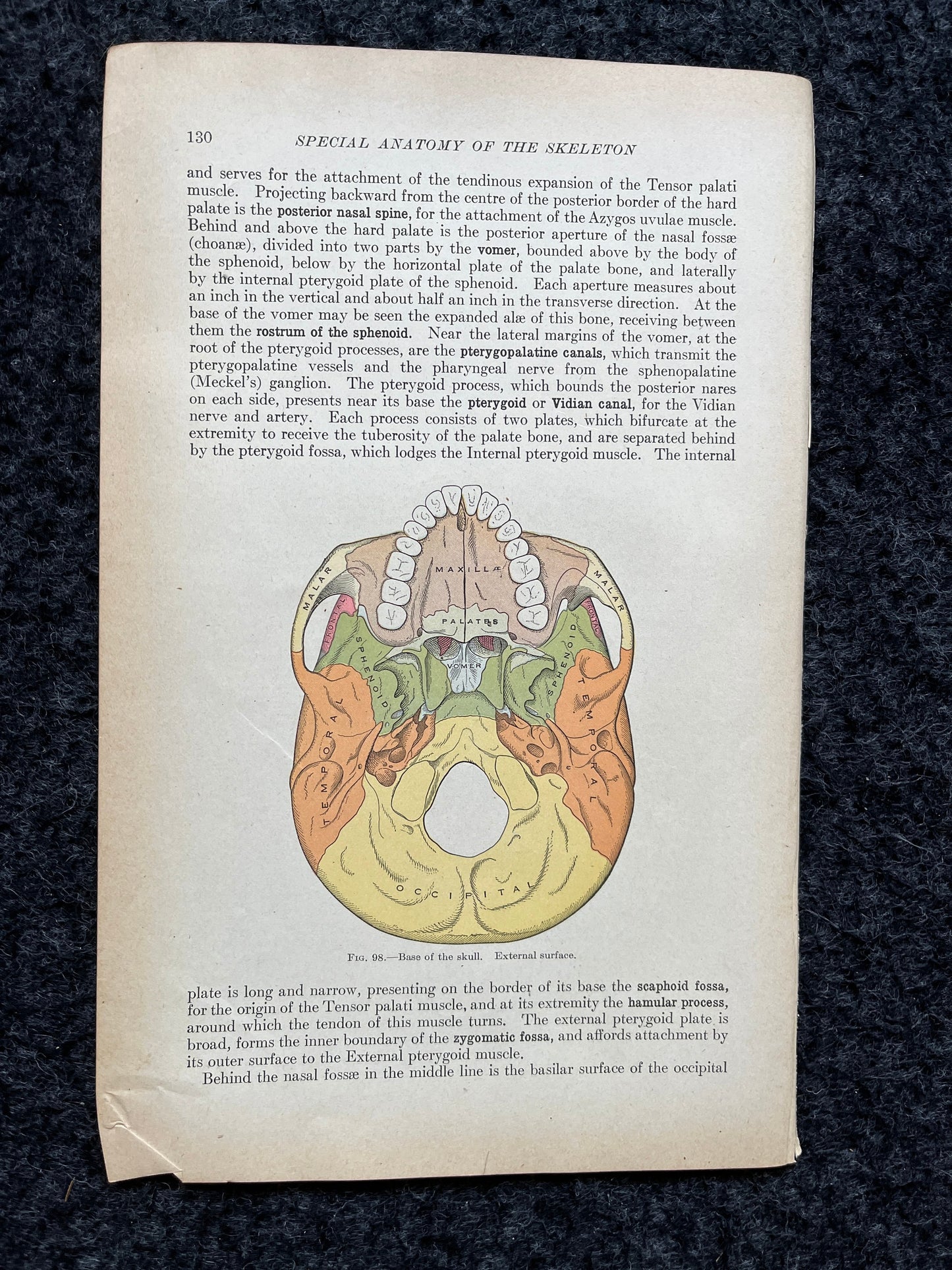 Original 1913 Anatomy Pages of Human Body, Anatomy Physiology Textbook Gifts, Teachers Aid Biology, Heart Brain Lung Art Wall Decoration