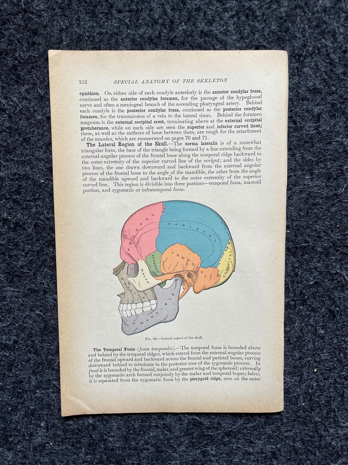 Original 1913 Anatomy Pages of Human Body, Anatomy Physiology Textbook Gifts, Teachers Aid Biology, Heart Brain Lung Art Wall Decoration