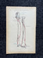 Original 1913 Anatomy Pages of Human Body, Anatomy Physiology Textbook Gifts, Teachers Aid Biology, Heart Brain Lung Art Wall Decoration