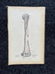 Original 1913 Anatomy Pages of Human Body, Anatomy Physiology Textbook Gifts, Teachers Aid Biology, Heart Brain Lung Art Wall Decoration