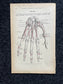 Original 1913 Anatomy Pages of Human Body, Anatomy Physiology Textbook Gifts, Teachers Aid Biology, Heart Brain Lung Art Wall Decoration