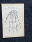 Original 1913 Anatomy Pages of Human Body, Anatomy Physiology Textbook Gifts, Teachers Aid Biology, Heart Brain Lung Art Wall Decoration