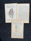 Original 1913 Anatomy Pages of Human Body, Anatomy Physiology Textbook Gifts, Teachers Aid Biology, Heart Brain Lung Art Wall Decoration