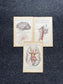 Original 1913 Anatomy Pages of Human Body, Anatomy Physiology Textbook Gifts, Teachers Aid Biology, Heart Brain Lung Art Wall Decoration