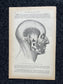 Original 1913 Anatomy Pages of Human Body, Anatomy Physiology Textbook Gifts, Teachers Aid Biology, Heart Brain Lung Art Wall Decoration