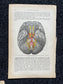 Original 1913 Anatomy Pages of Human Body, Anatomy Physiology Textbook Gifts, Teachers Aid Biology, Heart Brain Lung Art Wall Decoration