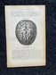 Original 1913 Anatomy Pages of Human Body, Anatomy Physiology Textbook Gifts, Teachers Aid Biology, Heart Brain Lung Art Wall Decoration