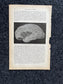 Original 1913 Anatomy Pages of Human Body, Anatomy Physiology Textbook Gifts, Teachers Aid Biology, Heart Brain Lung Art Wall Decoration