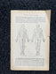 Original 1913 Anatomy Pages of Human Body, Anatomy Physiology Textbook Gifts, Teachers Aid Biology, Heart Brain Lung Art Wall Decoration