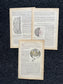 Original 1913 Anatomy Pages of Human Body, Anatomy Physiology Textbook Gifts, Teachers Aid Biology, Heart Brain Lung Art Wall Decoration