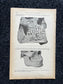 Original 1913 Anatomy Pages of Human Body, Anatomy Physiology Textbook Gifts, Teachers Aid Biology, Heart Brain Lung Art Wall Decoration