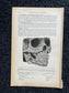 Original 1913 Anatomy Pages of Human Body, Anatomy Physiology Textbook Gifts, Teachers Aid Biology, Heart Brain Lung Art Wall Decoration