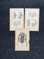 Original 1913 Anatomy Pages of Human Body, Anatomy Physiology Textbook Gifts, Teachers Aid Biology, Heart Brain Lung Art Wall Decoration