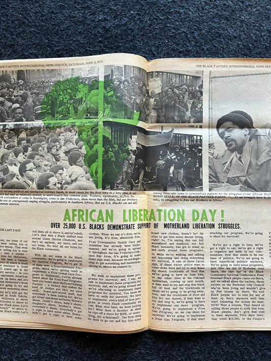 1971 African Liberation Day, Black Panther Political Party, Education Art, Civil Rights Memorabilia, African Wall Decor, Liberal Gifts