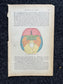 Original 1913 Anatomy Pages of Human Body, Anatomy Physiology Textbook Gifts, Teachers Aid Biology, Heart Brain Lung Art Wall Decoration