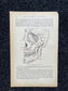 Original 1913 Anatomy Pages of Human Body, Anatomy Physiology Textbook Gifts, Teachers Aid Biology, Heart Brain Lung Art Wall Decoration