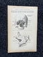 Original 1913 Anatomy Pages of Human Body, Anatomy Physiology Textbook Gifts, Teachers Aid Biology, Heart Brain Lung Art Wall Decoration