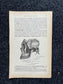 Original 1913 Anatomy Pages of Human Body, Anatomy Physiology Textbook Gifts, Teachers Aid Biology, Heart Brain Lung Art Wall Decoration