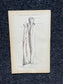 Original 1913 Anatomy Pages of Human Body, Anatomy Physiology Textbook Gifts, Teachers Aid Biology, Heart Brain Lung Art Wall Decoration