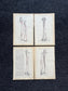 Original 1913 Anatomy Pages of Human Body, Anatomy Physiology Textbook Gifts, Teachers Aid Biology, Heart Brain Lung Art Wall Decoration