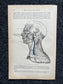 Original 1913 Anatomy Pages of Human Body, Anatomy Physiology Textbook Gifts, Teachers Aid Biology, Heart Brain Lung Art Wall Decoration
