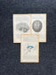 Original 1913 Anatomy Pages of Human Body, Anatomy Physiology Textbook Gifts, Teachers Aid Biology, Heart Brain Lung Art Wall Decoration
