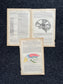 Original 1913 Anatomy Pages of Human Body, Anatomy Physiology Textbook Gifts, Teachers Aid Biology, Heart Brain Lung Art Wall Decoration
