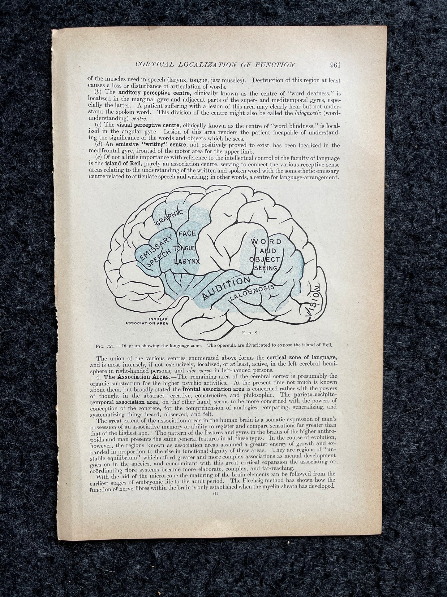 Original 1913 Anatomy Pages of Human Body, Anatomy Physiology Textbook Gifts, Teachers Aid Biology, Heart Brain Lung Art Wall Decoration