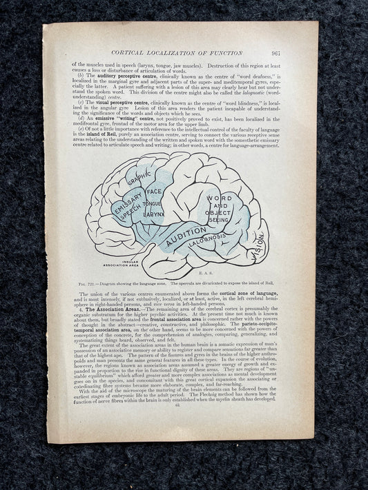 Original 1913 Anatomy Pages of Human Body, Anatomy Physiology Textbook Gifts, Teachers Aid Biology, Heart Brain Lung Art Wall Decoration