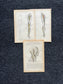 Original 1913 Anatomy Pages of Human Body, Anatomy Physiology Textbook Gifts, Teachers Aid Biology, Heart Brain Lung Art Wall Decoration