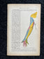 Original 1913 Anatomy Pages of Human Body, Anatomy Physiology Textbook Gifts, Teachers Aid Biology, Heart Brain Lung Art Wall Decoration