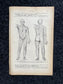 Original 1913 Anatomy Pages of Human Body, Anatomy Physiology Textbook Gifts, Teachers Aid Biology, Heart Brain Lung Art Wall Decoration