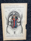 Original 1913 Anatomy Pages of Human Body, Anatomy Physiology Textbook Gifts, Teachers Aid Biology, Heart Brain Lung Art Wall Decoration